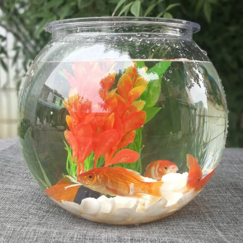 Planted Aquarium Bowl - ชามปลาทองเดสก์ท็อปโปร่งใสพลาสติก Aquarium รอบเต่าถังอะคริลิคถังปลาสีเขียวพืชหม้อ