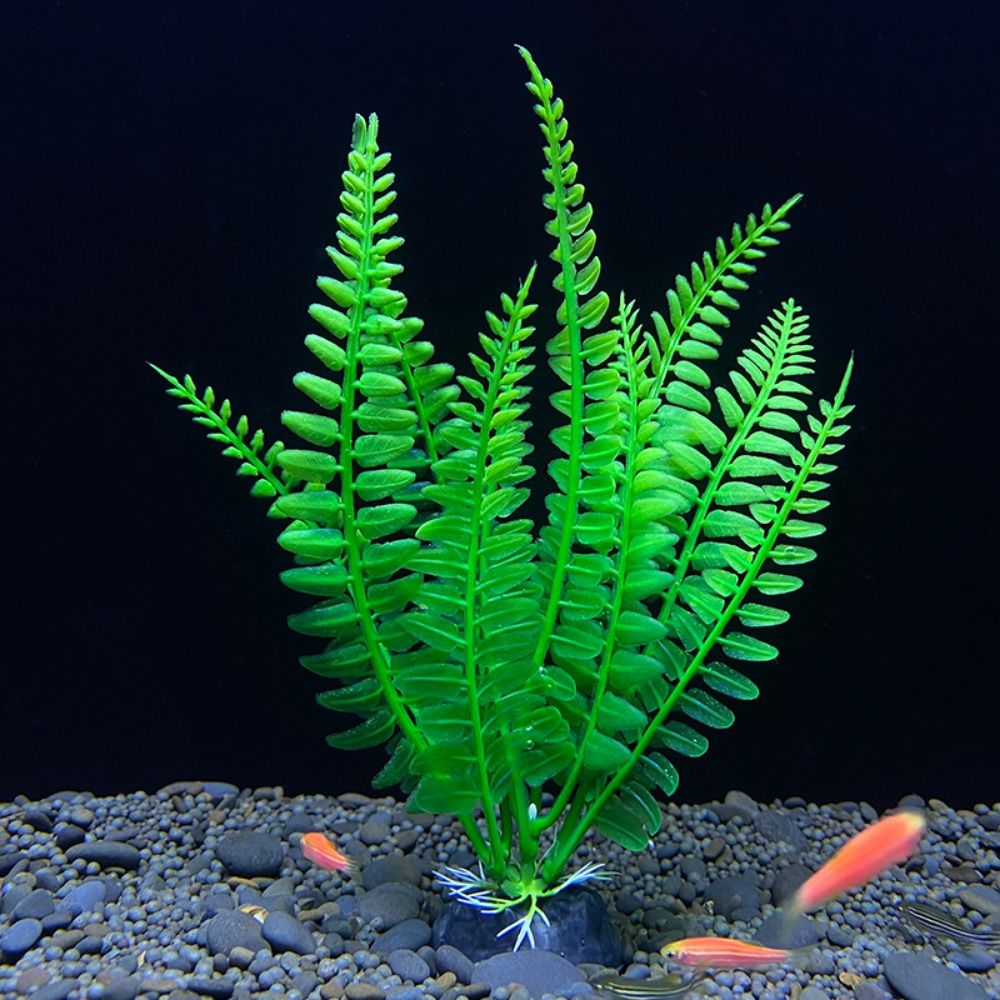 ถ้วยพลาสติกใส่ปลาจำลองสำหรับตก - Planted Aquarium Bowl บทวิจารณ์และราคา