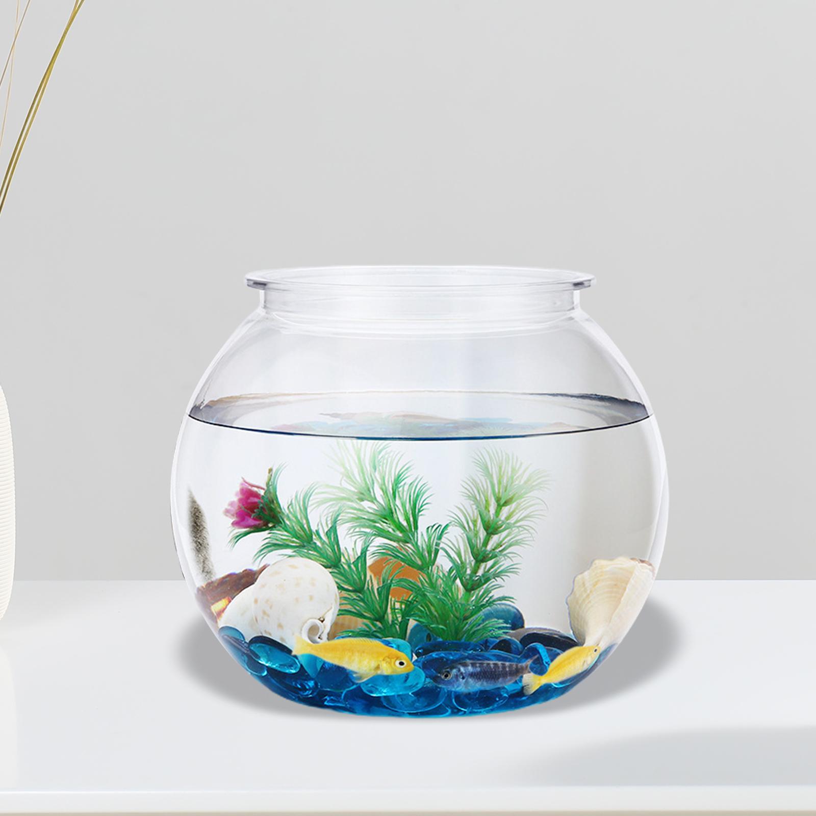 แจกันทรงถังปลาขนาดเล็กแบบ DIY  - Planted Aquarium Bowl บทวิจารณ์และราคา