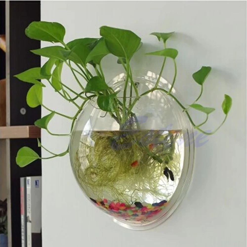 ติดผนังอะคริลิคชามปลาโปร่งใสแข - Planted Aquarium Bowl บทวิจารณ์และราคา