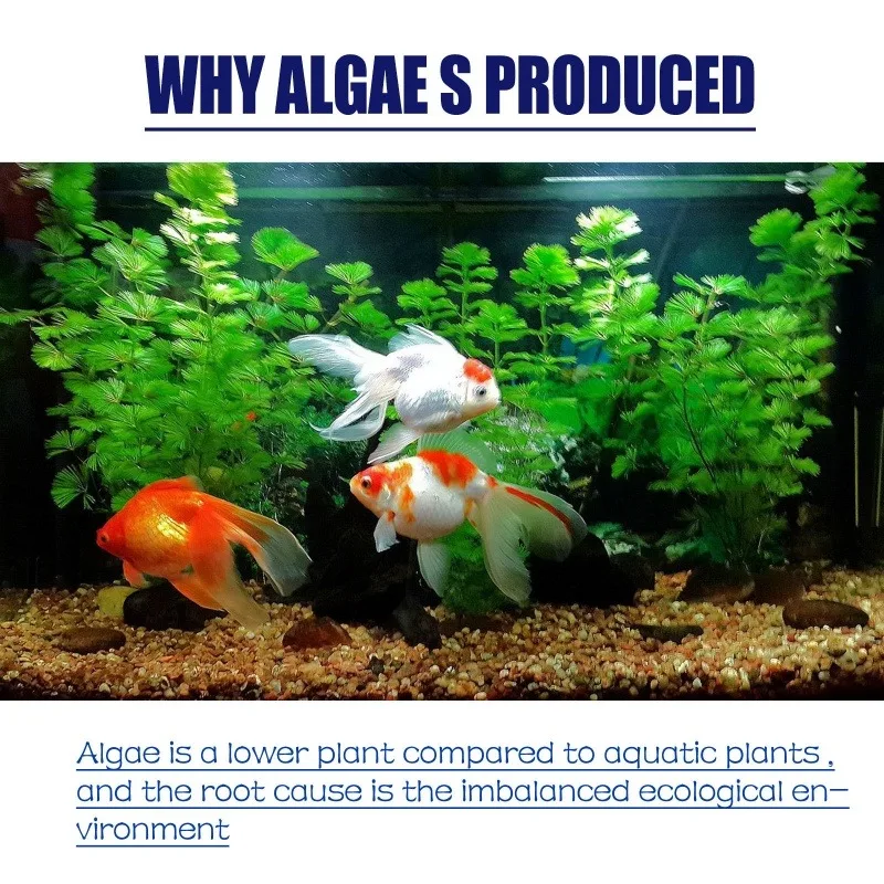 สารกำจัดสาหร่ายประสิทธิภาพสูง  - Planted Aquarium Algae บทวิจารณ์และราคา