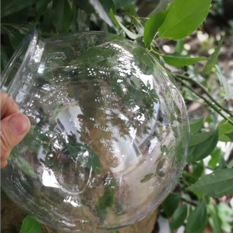 ชามปลาทองเดสก์ท็อปโปร่งใสพลาสต - Planted Aquarium Bowl บทวิจารณ์และราคา