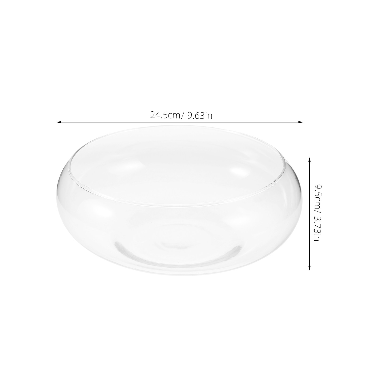 แจกันแก้วปลูกพืชไฮโดรโปนิกส์ ก - Planted Aquarium Bowl บทวิจารณ์และราคา