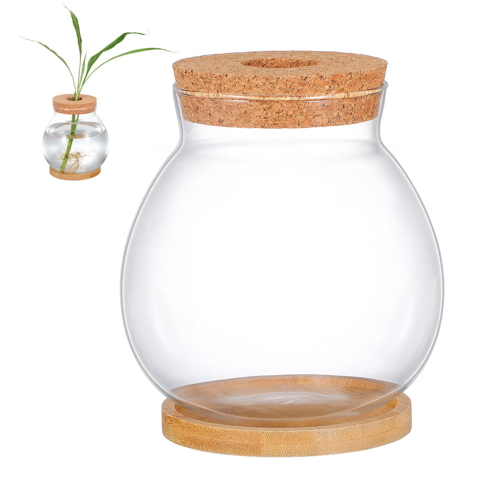ตู้ปลาแก้วตั้งโต๊ะขนาดเล็กสำหร - Planted Aquarium Bowl บทวิจารณ์และราคา