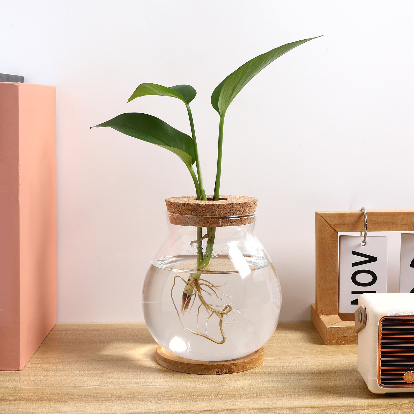 ตู้ปลาแก้วตั้งโต๊ะขนาดเล็กสำหร - Planted Aquarium Bowl บทวิจารณ์และราคา
