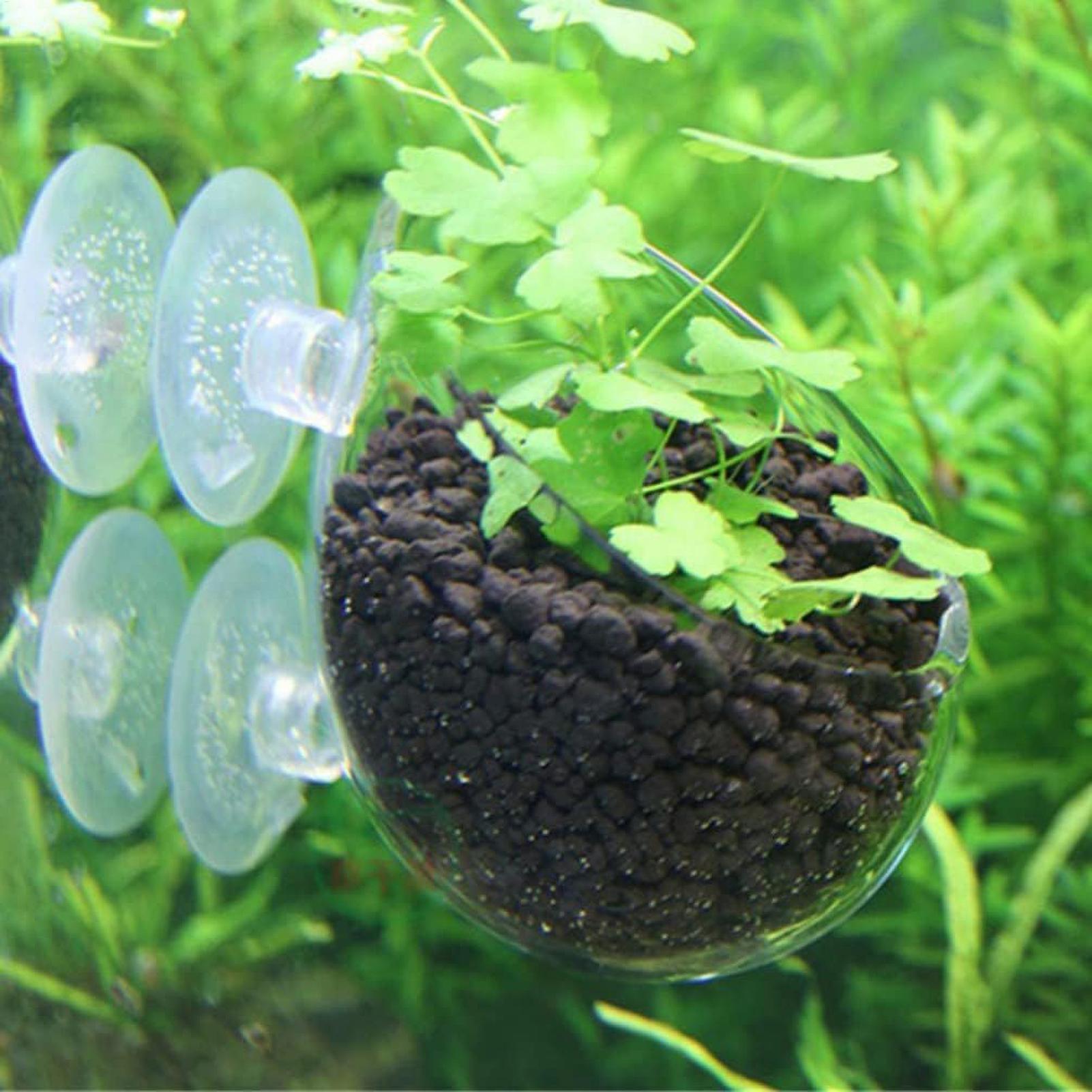 ที่วางต้นไม้ในตู้ปลา กระถางแก้ - Aquarium Plant Vine บทวิจารณ์และราคา