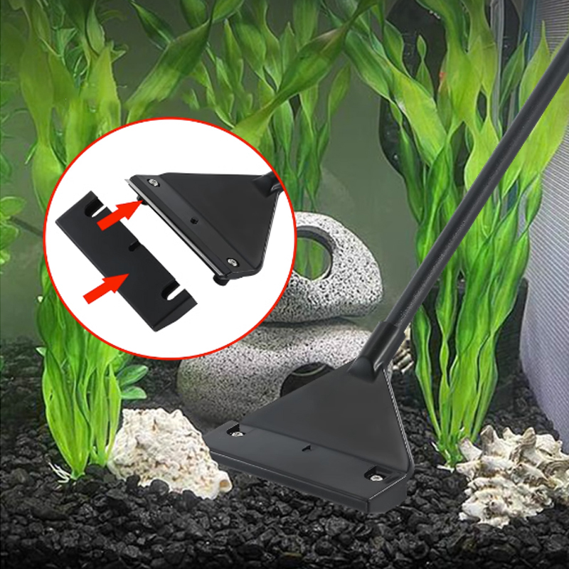 เครื่องขูดกำจัดสาหร่ายในตู้ปลา - Planted Aquarium Algae บทวิจารณ์และราคา