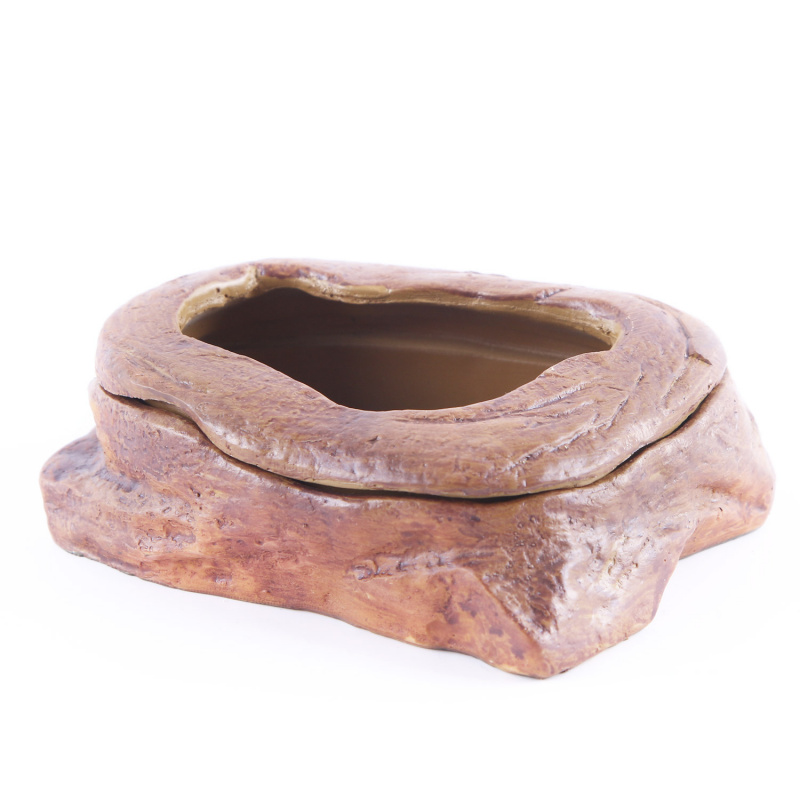 Aquarium Fish Tank เครื่องประด - Planted Aquarium Bowl บทวิจารณ์และราคา