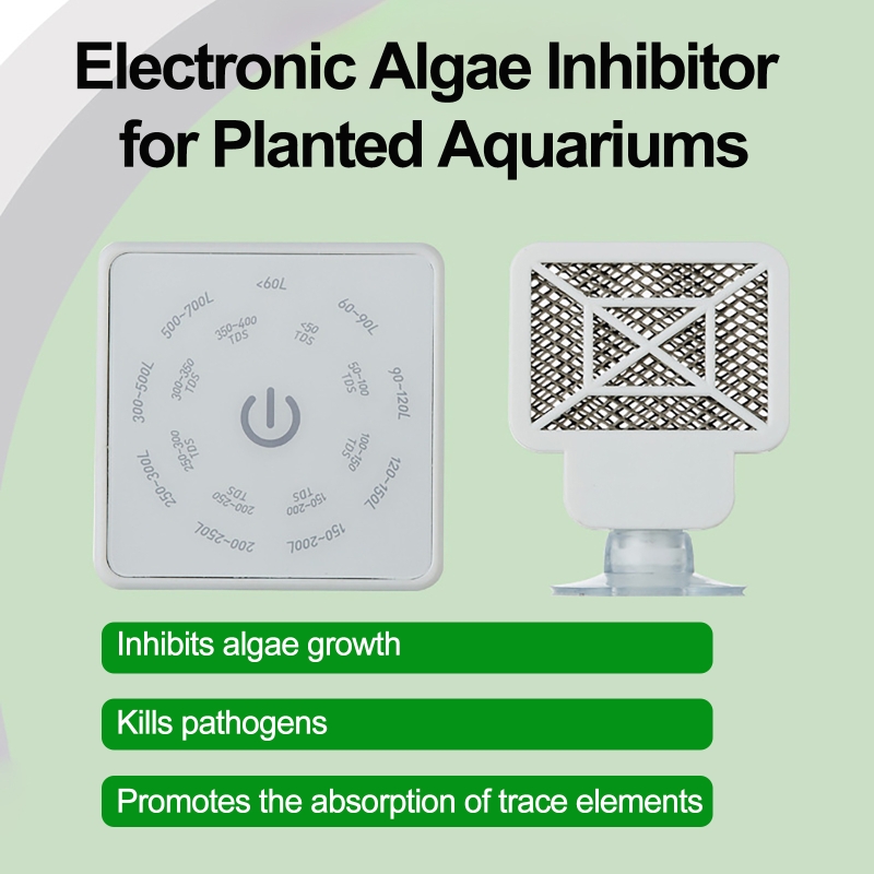 เครื่องมือทำความสะอาดตู้ปลาอิเ - Planted Aquarium Algae บทวิจารณ์และราคา
