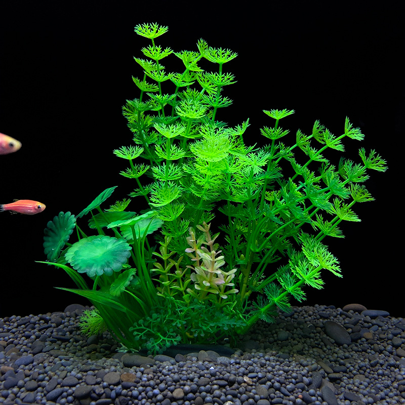 หญ้าปลอมเหมือนจริง 1 ชิ้น สำหร - Planted Aquarium Bowl บทวิจารณ์และราคา
