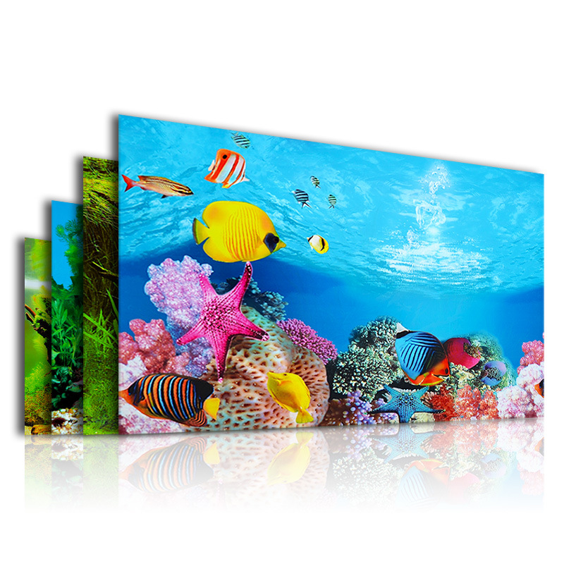 พื้นหลัง 3D สําหรับพิพิธภัณฑ์ส - Planted Aquarium Wallpaper บทวิจารณ์และราคา