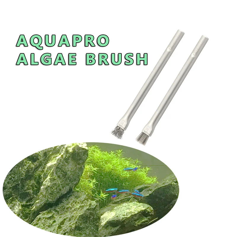 Aquapro Algae Brush แปรงทําควา - Planted Aquarium Algae บทวิจารณ์และราคา