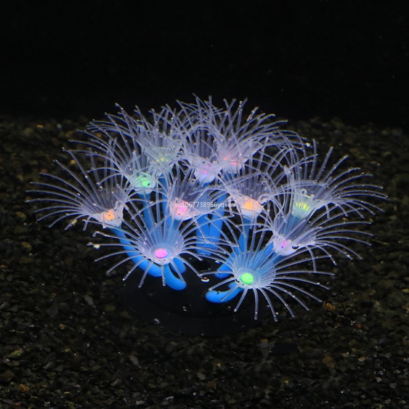 สาหร่ายปะการังเทียม ตกแต่งตู้ป - Planted Aquarium Algae บทวิจารณ์และราคา