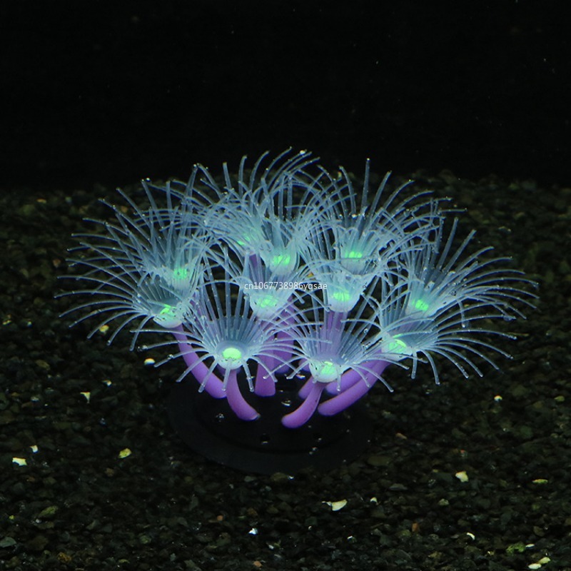 สาหร่ายปะการังเทียม ตกแต่งตู้ป - Planted Aquarium Algae บทวิจารณ์และราคา