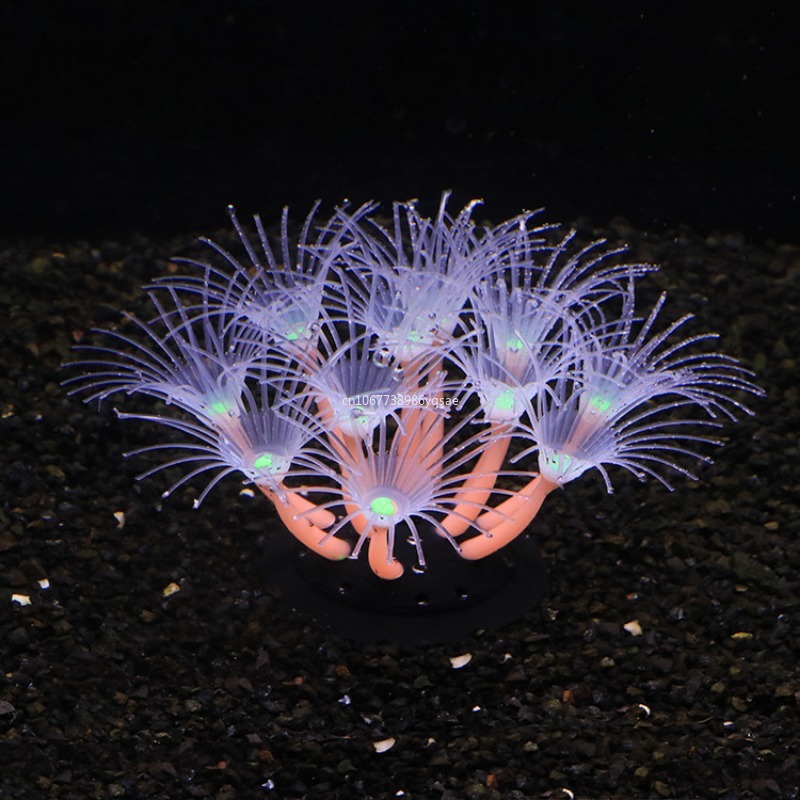 สาหร่ายปะการังเทียม ตกแต่งตู้ป - Planted Aquarium Algae บทวิจารณ์และราคา