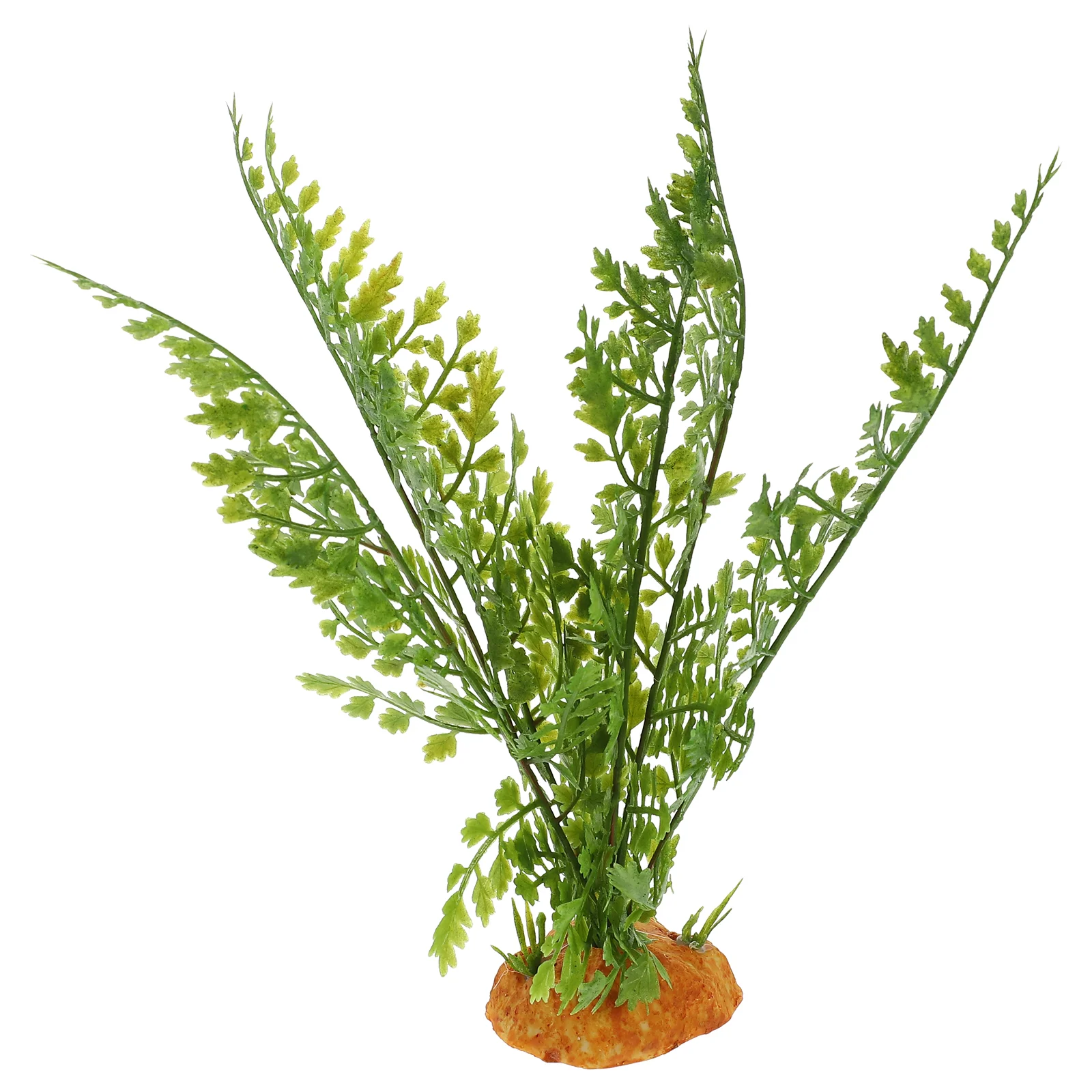 สัตว์เลื้อยคลานพืช Terrarium V - Aquarium Plant Vine บทวิจารณ์และราคา