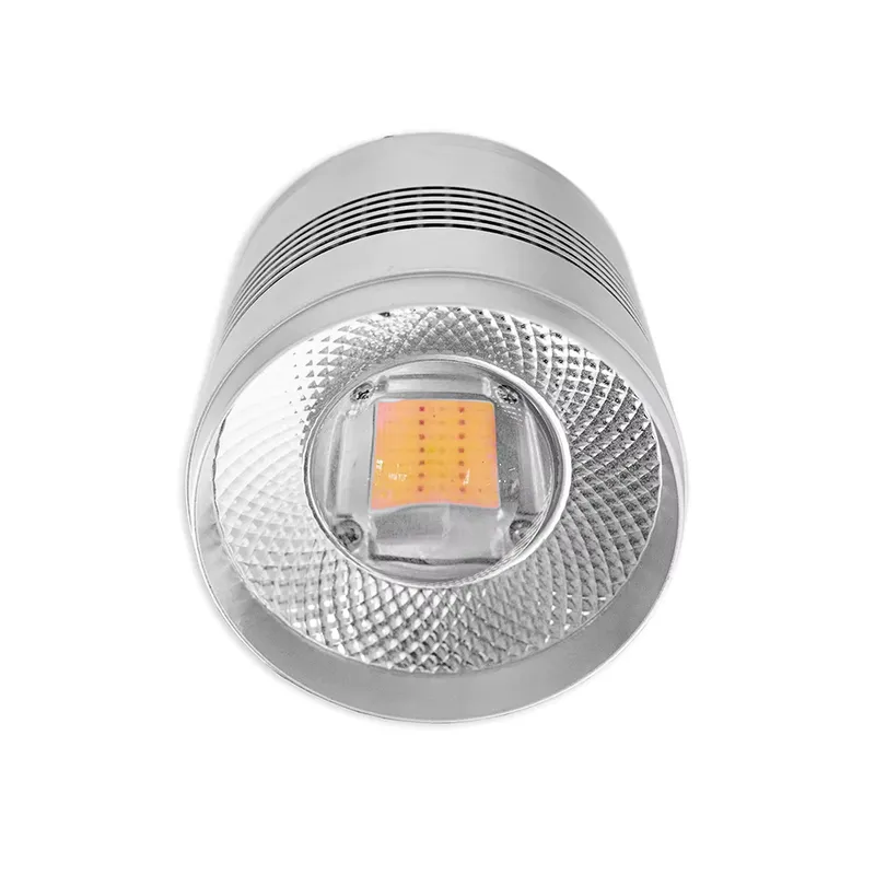 ไฟ LED สำหรับตู้ปลา 70W แบบสเป - Planted Aquarium Algae บทวิจารณ์และราคา