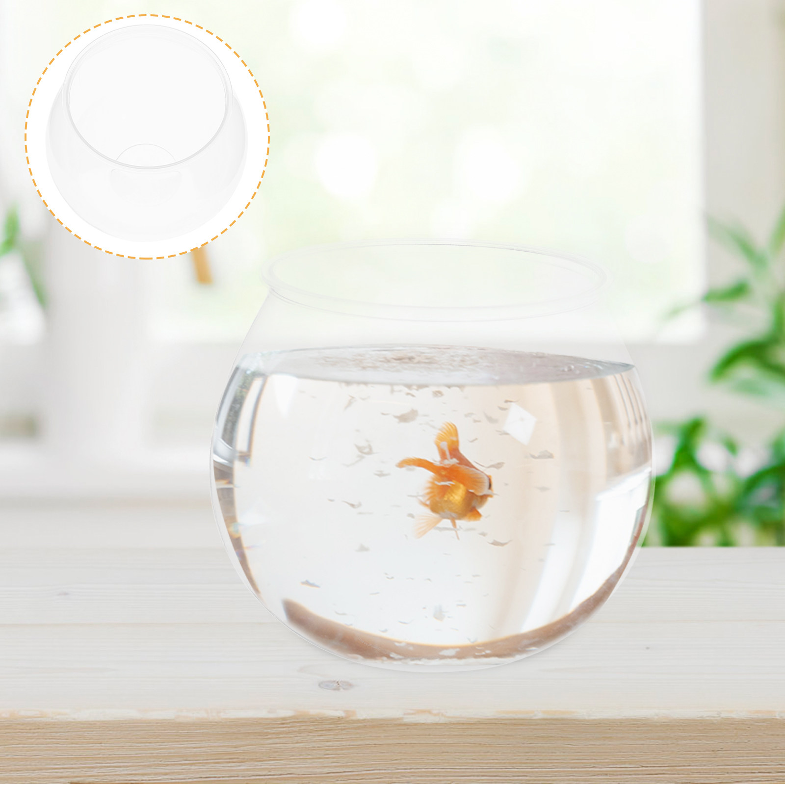 ตู้ปลาขนาดเล็ก 4 ชิ้น ทำจากพลา - Planted Aquarium Bowl บทวิจารณ์และราคา