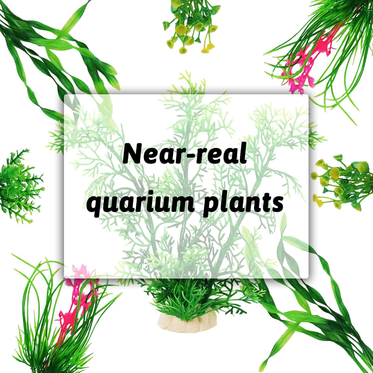 AT3 50W Full Spectrum LED พืชน - Planted Aquarium Algae บทวิจารณ์และราคา