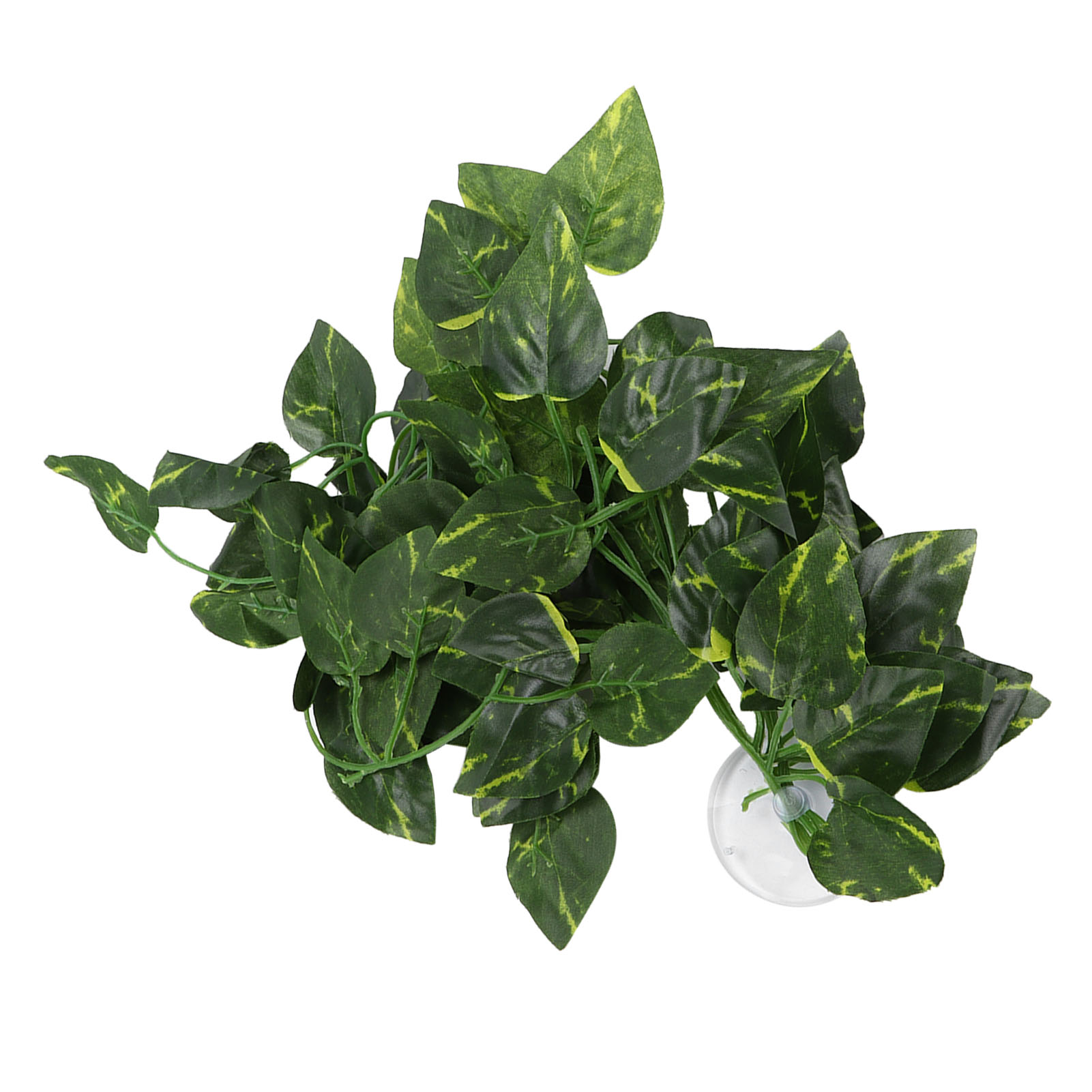 ต้นไม้จำลองสำหรับสัตว์เลื้อยคล - Aquarium Plant Vine บทวิจารณ์และราคา
